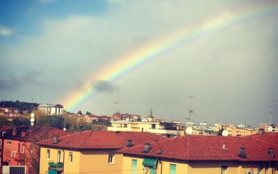 Colori